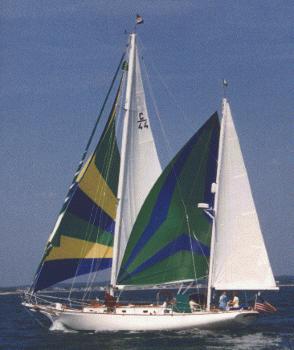 Cherubini 44 - asymmetrical mizzen spinnaker